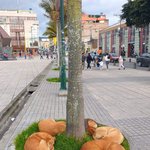 <b>예측</b>할 수 없는 동물들