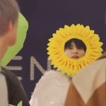 [NCT드림] <b>밸리</b>곰 이 하찮은 해바라기 뭐묘