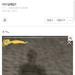 [드루와] 와 진심 얘 개<b>찐따</b> 같음