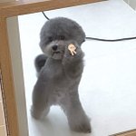 [댓글부탁해] 너넨 언제가장행복을 느껴?