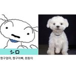 [드루와] 앀ㅋㅋ 흰둥이 실사화 미쳤냐고 ㅋㅋ