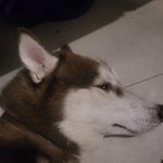 [댓글부탁해] 돌아온 <b>김건</b>이 2탄