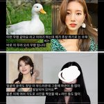 수지 관상으로 볼 때 <b>오리</b>상이래