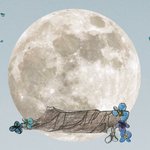 나 약간 <b>소질</b>있는거같지않음?