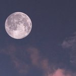 [추반] 04이상들아 너네 남친 <b>사상</b>이 이러면 만날수있어?