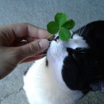 짝남 인스타 그램에 이거 <b>뭔</b><b>의미</b>일까