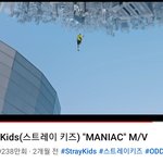 [스키즈] 스키즈 일본 가기 전에