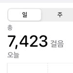너네 오늘 몇<b>걸음</b> 걸었냐