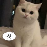 학교에서 이쁘다고 <b>소문</b> 나려면