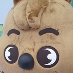 [스키즈] 지방테이들을 위한 더 현대 후기