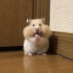 엑소 <b>첫눈</b> 1절 2절 비교해봐 넘 신기해