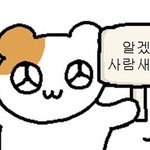 [댓글부탁해] 슬의 보는데 나만 그러냐