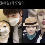 [NCT칠프] <b>우아</b>아아악