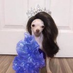 [19] ㄹㅇ 대학가면 남자들이 <b>대쉬</b> 많이 함?