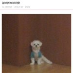 [19] 내 무릎 어떰