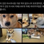 [NCT칠프] <b>재현</b>이랑정우 도영 따로 갔나본디??