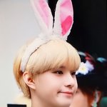 [NCT칠프] 강<b>쥐</b> 보고싶다..낼 격리 풀리려나