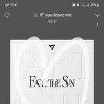 [세븐틴] <b>역조공</b> 진짜 부럽다
