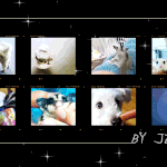 [방탄소년단] 이밤 3주년