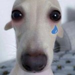 아 진짜 친구가 자꾸 내 스토리 따라하는데