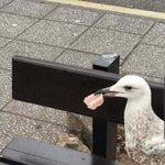 너네 남친 <b>or</b> 미래 남편이랑 바람피우면 100억 준대