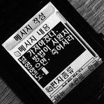 독<b>루비</b> 대충 분위기 알고싶르면