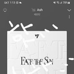 [세븐틴] ㅅㄷ 하루종일