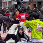 스뚝파 직관하는 <b>노제</b>