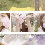 아이브 어제 뜬 거 봄…?