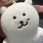 <b>농담</b>곰 이새끼 너무 귀여움 ㅜㅜ