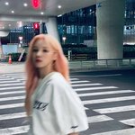 [모두드루와] 오늘자 횡단보도 걷는 송우기