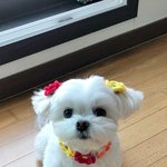 20대 <b>후반</b>인 나.. 소개팅을 하면 할수록 마음이 더 힘들어져요