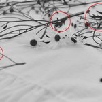 뷔가 올린거 데이지 아니라 <b>마가렛</b>이였네