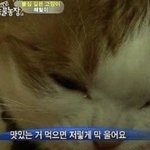 [드루와] 입시<b>미술</b> 하는 사람 있음 ???