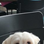 20대 <b>후반</b> 여성분들 소개팅 많이 하세요? 전 소개팅을 할 수록...