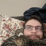 바람 잘 날 없는 <b>다둥</b>이 냥이 가족