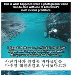 [<b>유머픽</b>] 내셔널 지오그래픽 레전드 방송사고.jpg