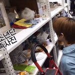 [군대] 방탄 예능나옴..;