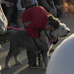 <b>리정</b> 이랑 강아지