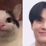 [NCT드림] <b>아</b> 이거 <b>뭐</b>묘ㅋㅋㅋㅋㅋㅋㅋㅋㅋ