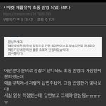 [NCT드림] <b>지마켓</b> 애플뮤직 초동 답변봤니