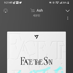[세븐틴] ㅅㄷ