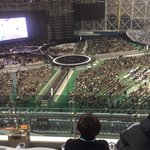 [세븐틴] ㅅㄷ 얘들아 .. 갈말.. 골라주라