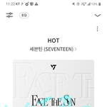 [세븐틴] 콘서트 갈 때