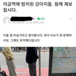 [도와줘] 미금역에서 방치와 학대당하는 강아지들