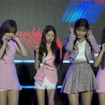 리즈 누가 살쪘다<b>하노</b>