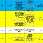 [모두드루와] <b>아미</b>들아 큰 거 온다