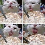계획만 좋았던 <b>시도</b>
