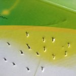 [댓글부탁해] 버니어 전지가위 같은힘주고 실험해봤다 개구리 소년