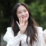 아린 코 모양 개부럽다